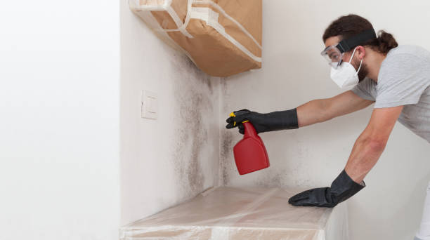 Professional Bathroom Mold Removal technician working in Mapleton Depot, PA